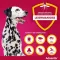ADVANTIX Spot-on-opløsning til påføring på hund 40-60 kg, 4X6,0 ml
