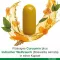 CURCUMIN-LOGES plus Boswellia kapsler, 60 kapsler