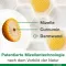 CURCUMIN-LOGES plus Boswellia kapsler, 60 kapsler
