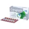 GINGIUM 120 mg filmovertrukne tabletter, 60 stk