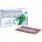 GINGIUM 120 mg filmovertrukne tabletter, 60 stk