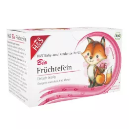 H&amp;S Organic Baby and Childrens Tea Fruits Fine Filter Bag, 20X2.5 g