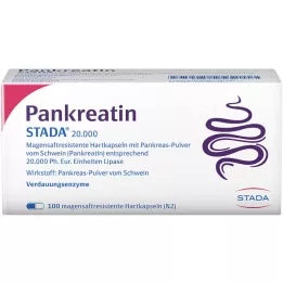 PANKREATIN STADA 20.000 hårde kapsler med mavesaft, 100 stk