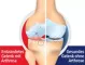 Instructions for use for GELENCIUM® arthro dråber, 100 ml - 2