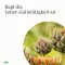 GALLEXIER Bitter Elixir af urter Salus Flü.z.E., 250 ml