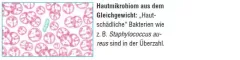 Instructions for use for AKTIVADERM ND Neurodermatitis hudbehandling aktive probiotika, 125 g - 2