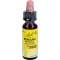 BACHBLÜTEN Original Rescura-dråber uden alkohol, 10 ml