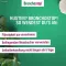 BRONCHOSTOP Sine hostesaft, 200 ml