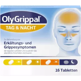 OLYGRIPPAL Dag &amp; Nat 500 mg/60 mg tabletter, 16 stk