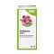ECHINACEA TROPFEN Salus, 100 ml