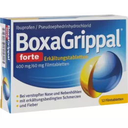 BOXAGRIPPAL forte cold stick. 400 mg/60 mg FTA, 12 stk