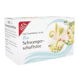 H&amp;S Økologisk Graviditetste Filterpose, 20X2 g