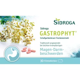 SIDROGA GastroPhyt 250 mg filmovertrukne tabletter, 30 stk