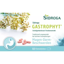 SIDROGA GastroPhyt 250 mg filmovertrukne tabletter, 60 stk