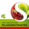 Dobensana Urte Kirschgeschm.vit.c &amp; Zink Pastil.(36 stykker)