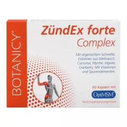 ZÜNDEX forte Complex med OptiMSM kapsler, 60 kapsler