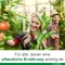 Vitamin D-Loges 7.000 IE plantebaseret ugentlig depot, 60 stk