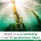 Vitamin D-Loges 7.000 IE plantebaseret ugentlig depot, 60 stk