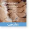 CAPSTAR 11,4 mg tabletter til katte/små hunde, 1 stk