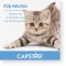 CAPSTAR 11,4 mg tabletter til katte/små hunde, 1 stk