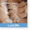 CAPSTAR 57 mg tabletter til store hunde, 1 stk