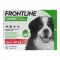 FRONTLINE COMBO mod flåter, lopper på hunde XL (40-60 kg), 3 stk
