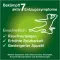 Instructions for use for nicorette tyggegummi frisk frugt, 2 mg nikotin, 210 stk - 4