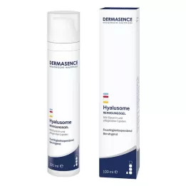 DERMASENCE Hyalusome rensegel, 100 ml