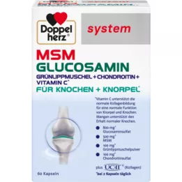 DOPPELHERZ MSM Glucosamin-systemkapsler, 60 stk