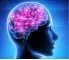Instructions for use for NEUROPEP Kapsler, 30 stk - 2