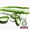 Plantana Aloe Vera Care Brusebad med Økologisk Aloe Vera, 500 ml