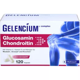 GELENCIUM Glucosamin Chondroitin højdosis Vit C Kps, 120 kapsler