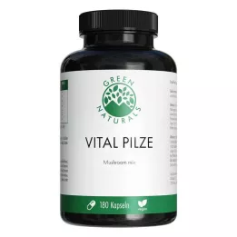 GREEN NATURALS Vital Mushrooms Cordyceps Reishi vegansk, 180 stk